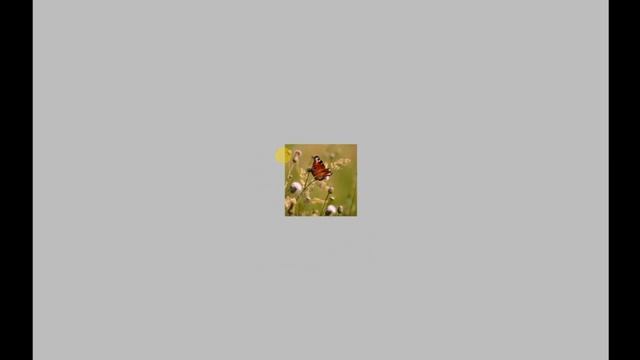 Seminar NYIP 2013 08 29 Andrey Pashis 1280x720 LQ смотреть онлайн