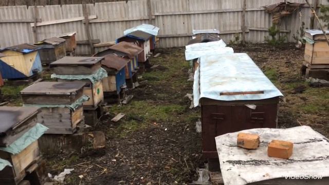 ТОПЛЮ ВІСК І ЯКІ ПЛАНИ НА ПАСІЦІ смотреть онлайн