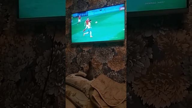 Коза-главная болельщица? смотреть онлайн