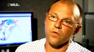 Доисторические хищники ¦ Саблезубый Тигр