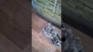ремонт стиральной машинки самсунг. замена крестовины. часть 3. продолжение.