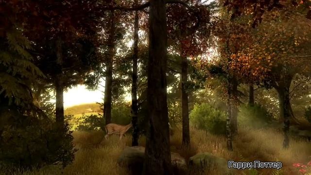 Гарри Поттера и Философский камень. смотреть онлайн