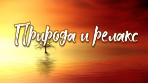 Звуки Природы, Пение Птиц, Красивые Трели Соловья Успокоят Твою Нервную Систему