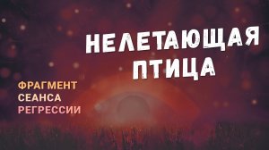 Регрессии. Открытия. Возможности. Результаты. "Нелетающая птица"