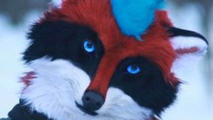 🍪ЭРИК-вёселый енот без начала🍪