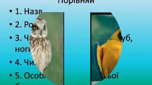 Разнообразие животных в природе Презентация для детей