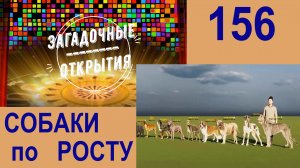 СОБАКИ по росту. З/О_156.