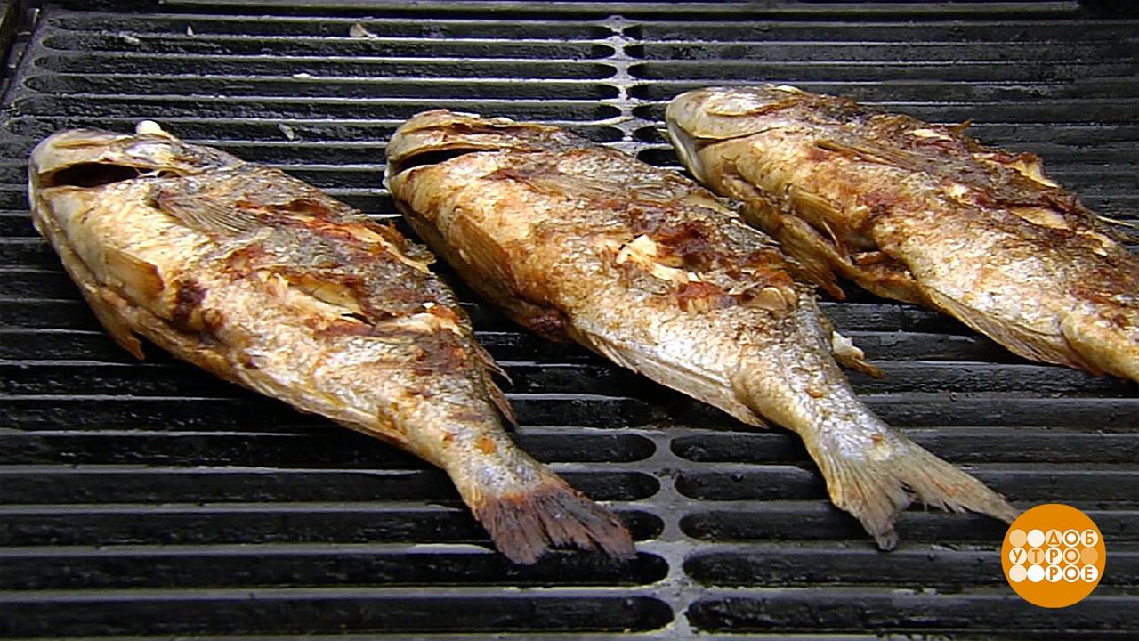 "Рыбная неделя" - весело и вкусно. Доброе утро. Фрагмент выпуска от 27.05.2019