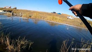 Рыбалка в Омской  области.Тюкалинск.