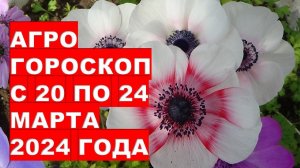 Агрогороскоп с 20 по 24 марта 2024 года Agrohoroscope from March 20 to March 24, 2024