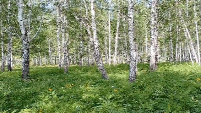 ВЕСНА -  ПОДСНЕЖНИКИ