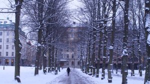 Зима, прохожий..mp4