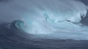 Сёрфинг на огромных волнах в Мауи