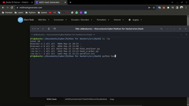Python Hash Cracker