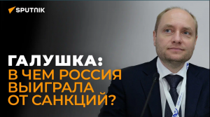 Галушка раскрыл, сколько придется расхлёбывать последствия антироссийских санкции