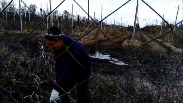 спасли дикого кота смотреть онлайн