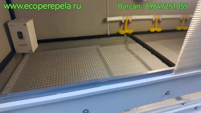 Современный БРУДЕР на 250 перепелов, своими руками. Под заказ!