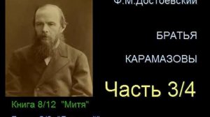 " Братья Карамазовы " - Часть 3/4 - Книга 8/12 - Глава 2/8