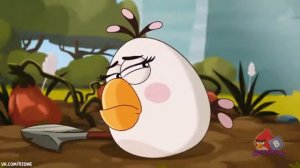 Angry birds toons Oh Gnome clip