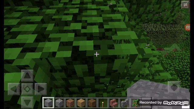 Обзор модов на Minecraft Pocket Edition мод на белых медведей смотреть онлайн