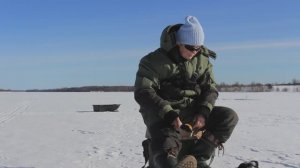 Классная рыбалка - лучший подарок на 8-е марта. Море плотвы, но с окунем - проблема.