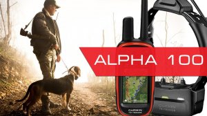 Радиоошейник для охоты Garmin Alpha 100 - реальный тест дальности