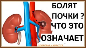 ЧТО ОЗНАЧАЕТ БОЛЬ В ПОЧКАХ.mp4