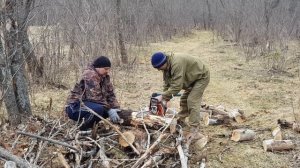 Пилим дрова