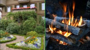 Комары как избавиться в домашних условиях Средства защиты от комаров в частном доме.