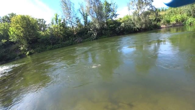Как ловить голавля на УОКЕРЫ (topwater walker) / ТЕХНИКА подачи, ПРОВОДКИ, МЕСТА стоянки летом