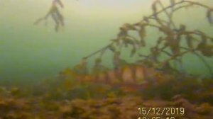 озеро УРАЛ, Рыбинский район #рыбалка