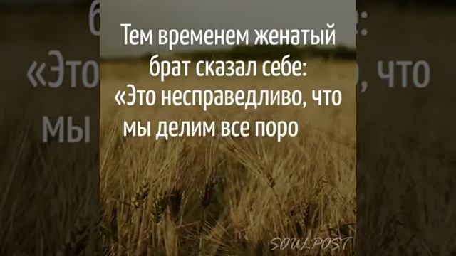 Два Брата смотреть онлайн