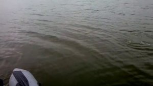 Рыбалка в Калмыкии п. Дружный.