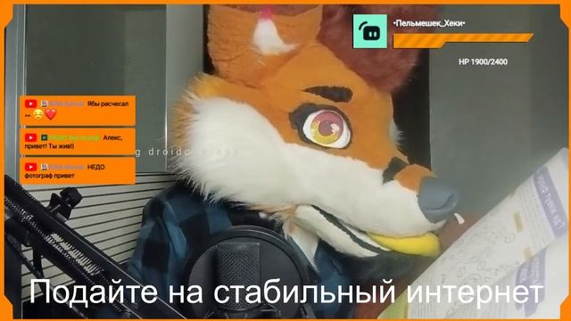 ФУРРИ СТРИМ (Общаемся, играем, рисуем)
