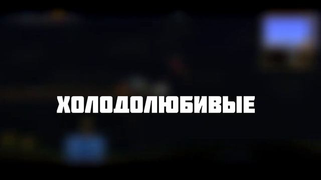 ТЕРРАРИЯ 1.4- СИСТЕМА СЧАСТЬЯ НИПОВ🔥NPC #2 смотреть онлайн