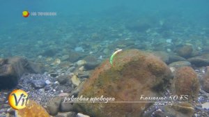 Игра воблера Бананас 50 и 42 на течении в горной реке