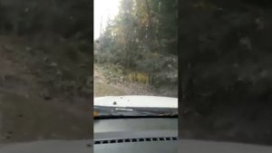 Сузуки эскудо на лёгком бездорожье , Шевроле нива за нами.