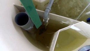 Принцип работы Biodevice ECO