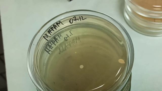 Бакпосев пищевых продуктов, общие краткие сведения смотреть онлайн