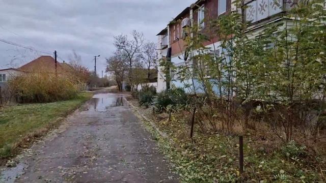 19.11.2023. ВЕТЕР НЕ УТИХАЕТ! Поваленные деревья, обрывы проводов... Свет дали! смотреть онлайн