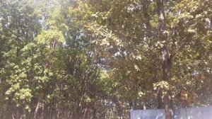 Приморский Нарзан/ Набрали воды/ До дома  осталось 250 км.