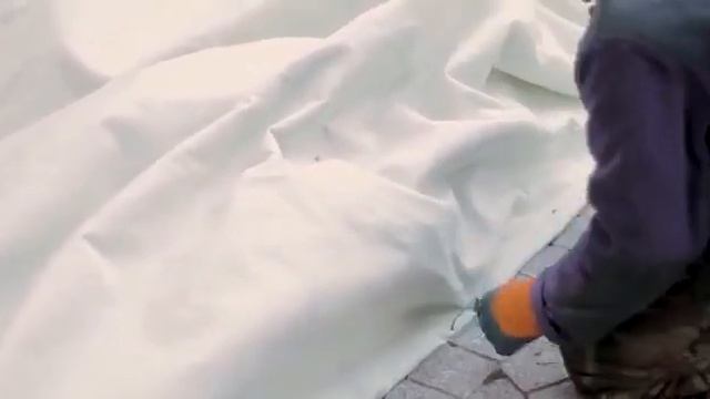 Укрытие роз на зиму геотекстилем