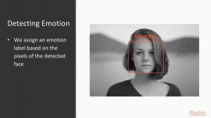 Applications of Statistical Learning with Python: Learning to See Emotion|packtpub.com