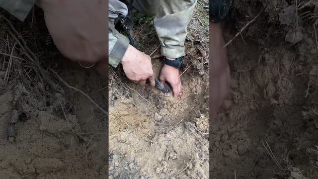 #metaldetector #коп #металлоискатель #находки #поискмонет #шурф #war #coin #treasure #minelab