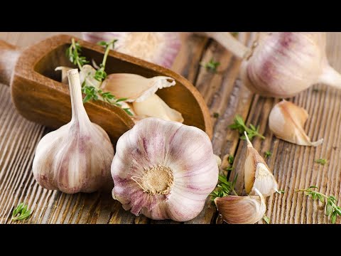 Порошок чеснока - самый сильный антибиотик, замедляющий рост раковых клеток! bQm2plZcz5w смотреть онлайн