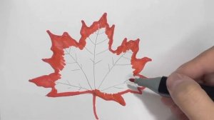 Как нарисовать осенний лист