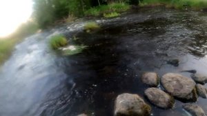 Ловля щуки на малых реках. Рыбалка в Ленинградской области. Июнь 2021г.