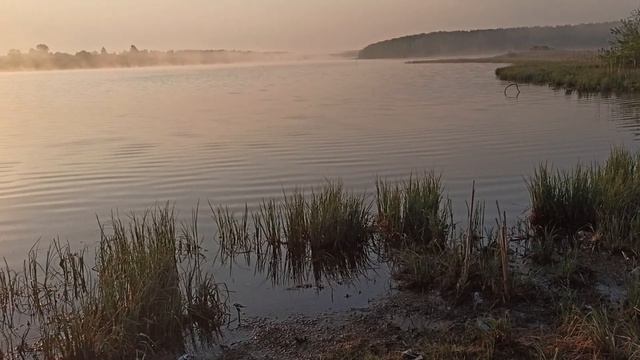 ##озеро #снасти #рыбалка # смотреть онлайн