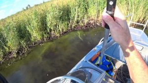 Экскурсия на остров Центральный. Вся рыба на Рыбинке под Центральным. Рыбинка FOREVER.