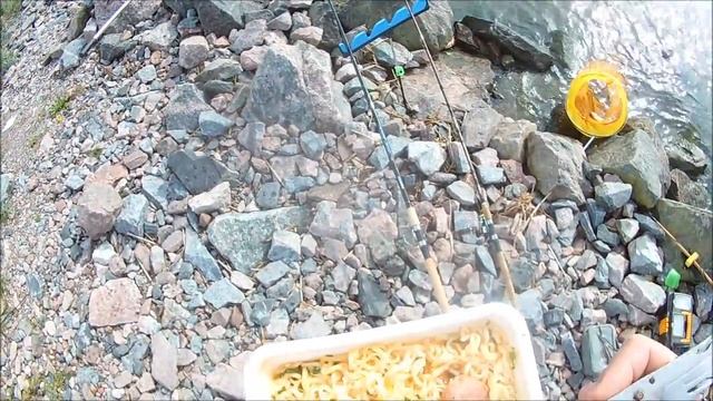 Фин.залив.Порт Бронка часть-2 .Ловим на фидер и резинку. смотреть онлайн